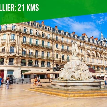 Le Palais Maya - Lumineux - Wifi La Grande-Motte Zewnętrze zdjęcie